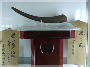 吉井川